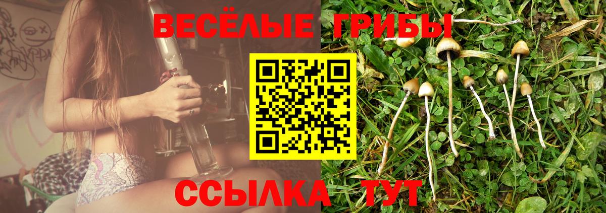 Псилоцибиновые грибы мицелий  Вход с VPN  Ишимбай  Галлюциногенные грибы мухоморы 